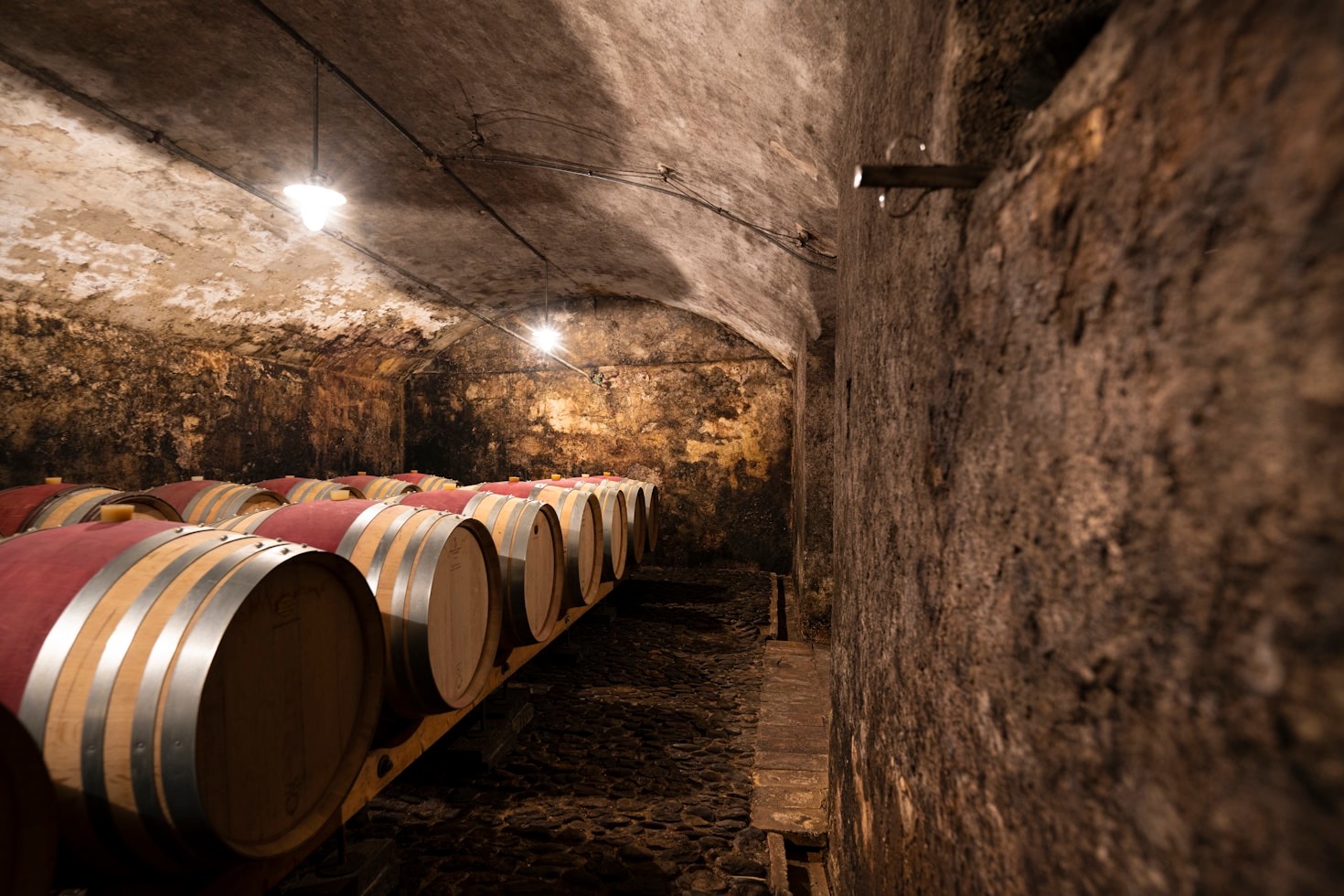 Come abbinare il vino a ogni piatto